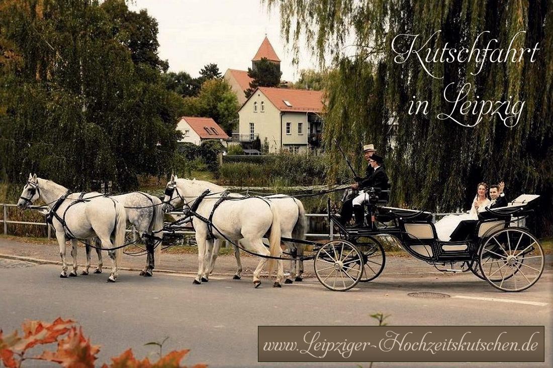 Bild: Schwarze Hochzeitskutsche mit 4 Pferden