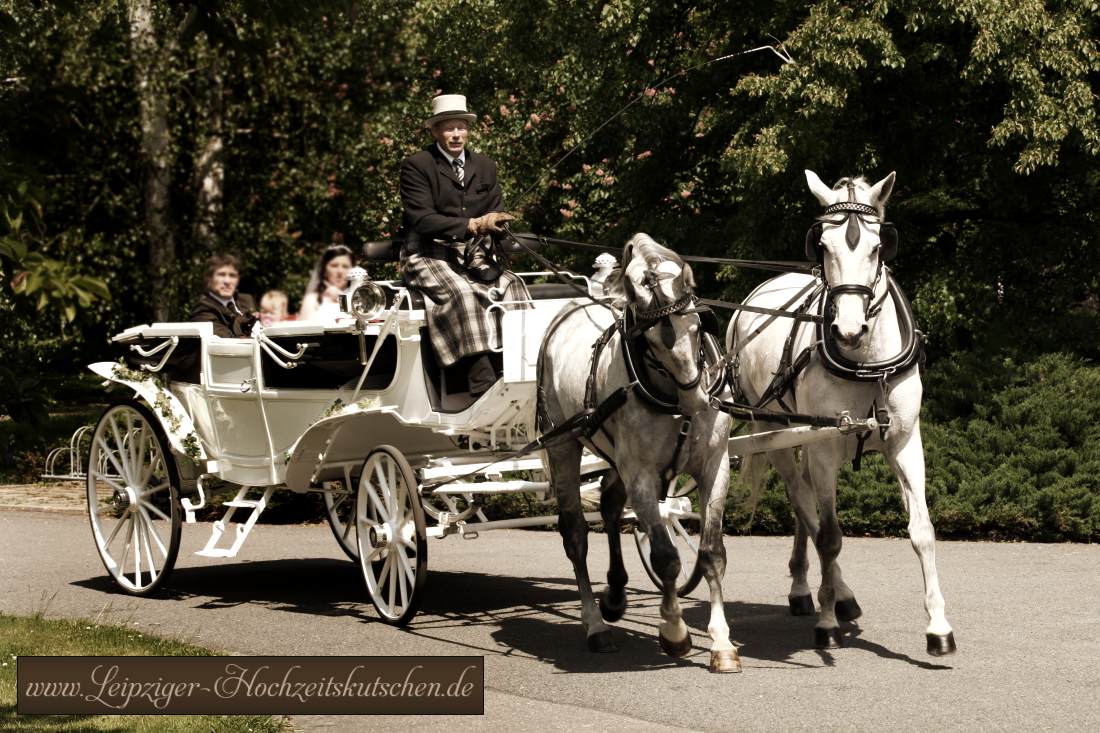 Weisse offene Landauer Hochzeitskutsche im Johannapark bei rasanter Fahrt zum Leipziger Neuseenland